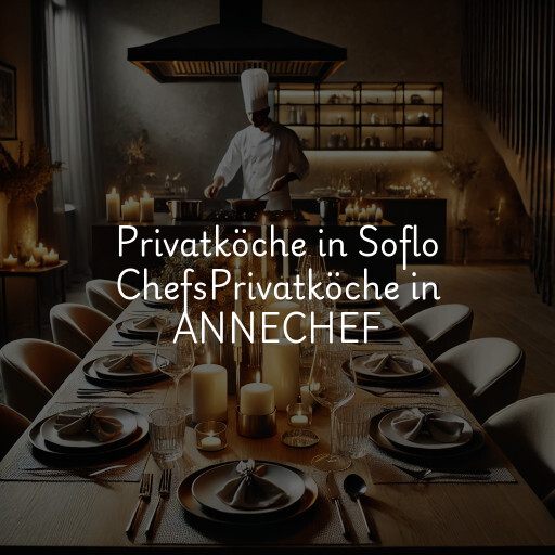 Privatköche in